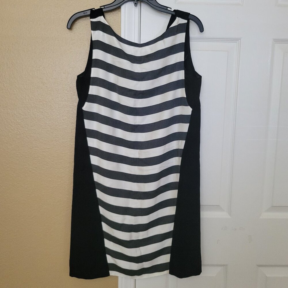 Zara Basic Sleeveless Dreas - image 1